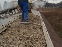 Bahn Umschlag von pelle getrockneten Zuckerrübenschnitzeln durchgeführt auf 06 bis 07 März, 2017 die Menge von 702 t. Kurze Video und Fotos lassen sich hier zu sehen 